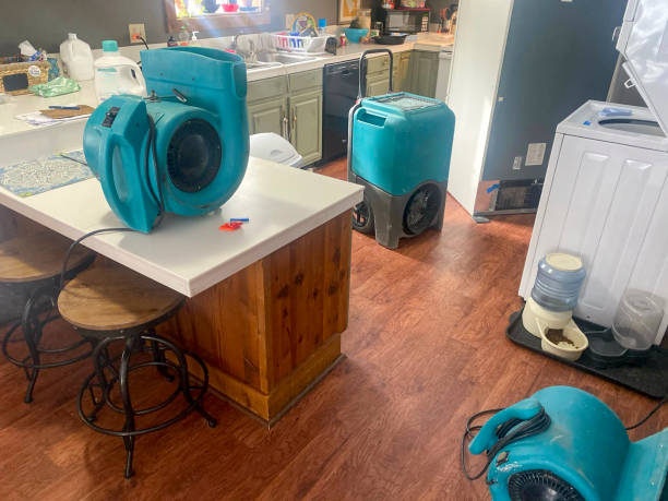  Sumiton, AL Water damage restoration Pros