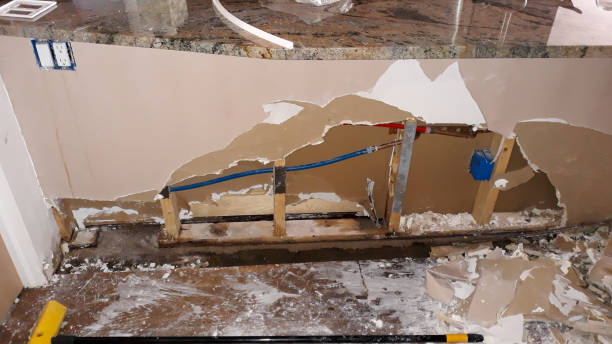 Best Flood restoration services  in Sumiton, AL