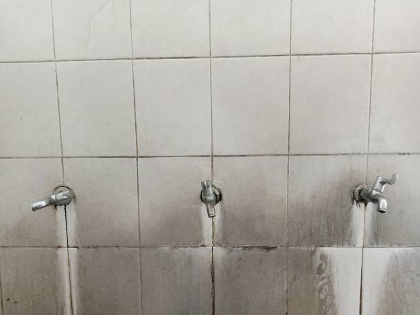 Best Basement water damage restoration  in Sumiton, AL