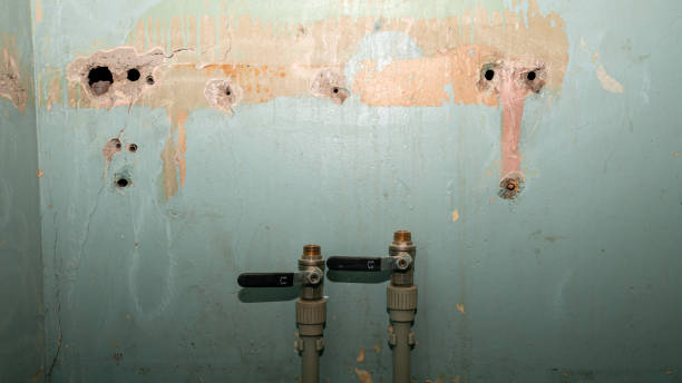 Best 24/7 water damage repair  in Sumiton, AL
