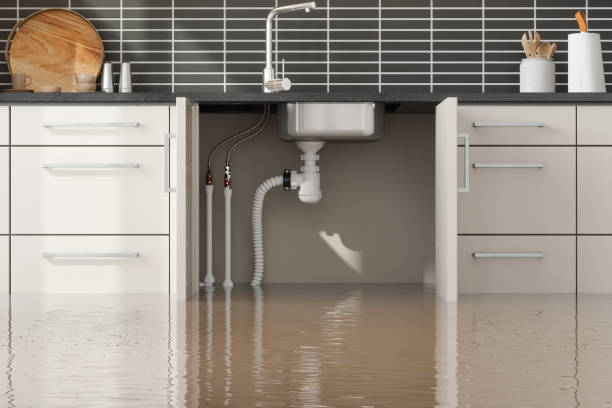 Best Sewage cleanup and water damage restoration  in Sumiton, AL