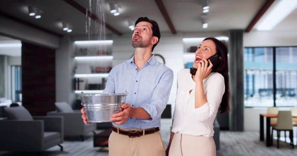Best Carpet water damage restoration  in Sumiton, AL